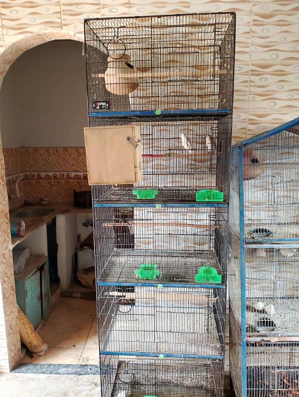 cages for sale 33000 both of the cages are slightly used 0