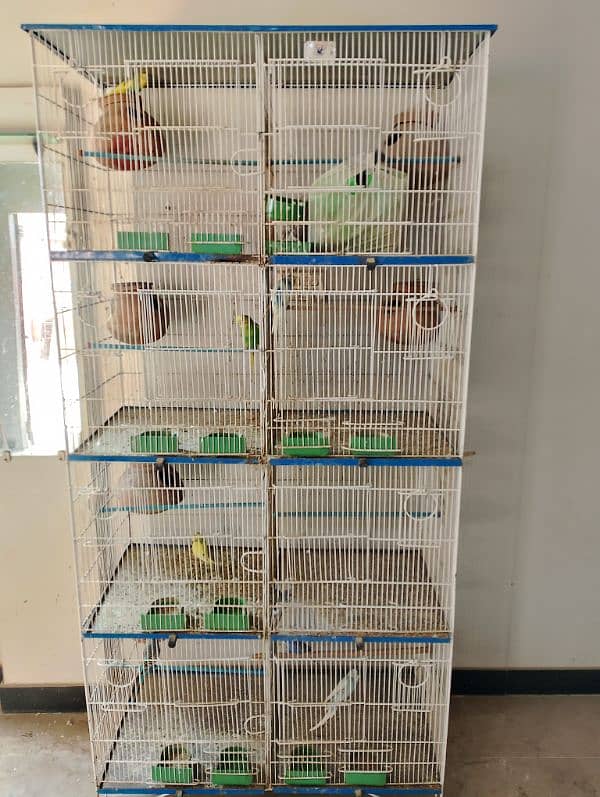 cages for sale 33000 both of the cages are slightly used 1