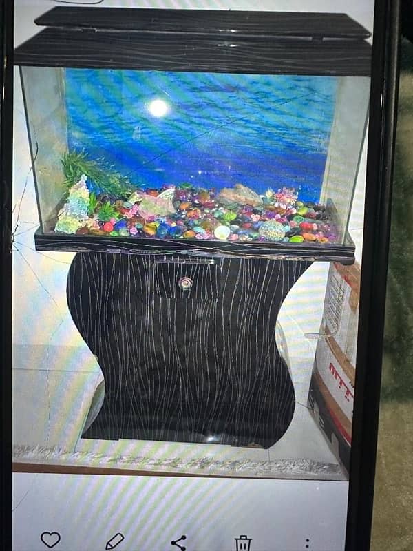 Fish Tank 0