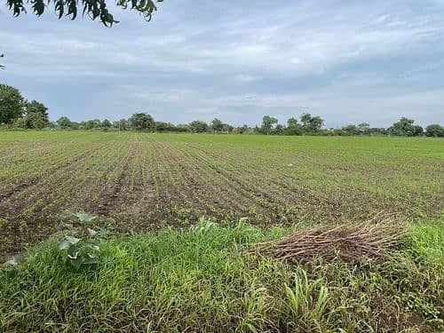 Agricultural land for sale 2