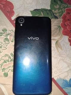 vivo