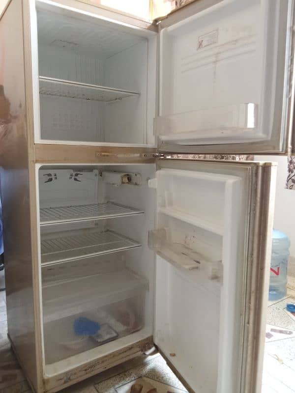 PEL Fridge 1