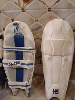 USED CRICKET KIT BAG