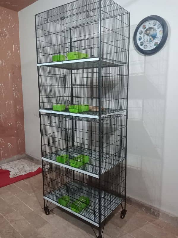 ring neck  trolly cage for sale new cage Hai 5