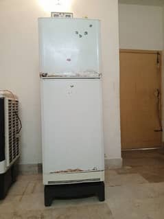 pel refrigerator in good condition