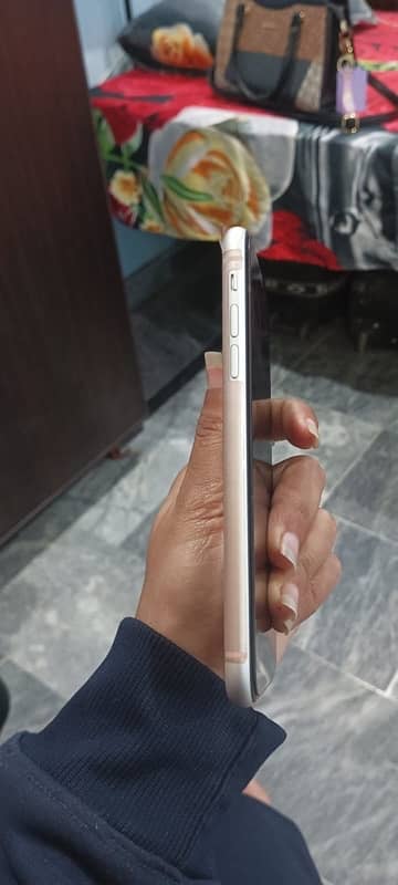 IPhone 11 white coloured open box 0