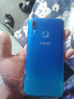 vivo