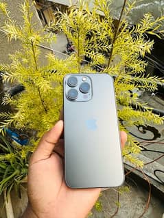 iphone 13pro Panel Body Available