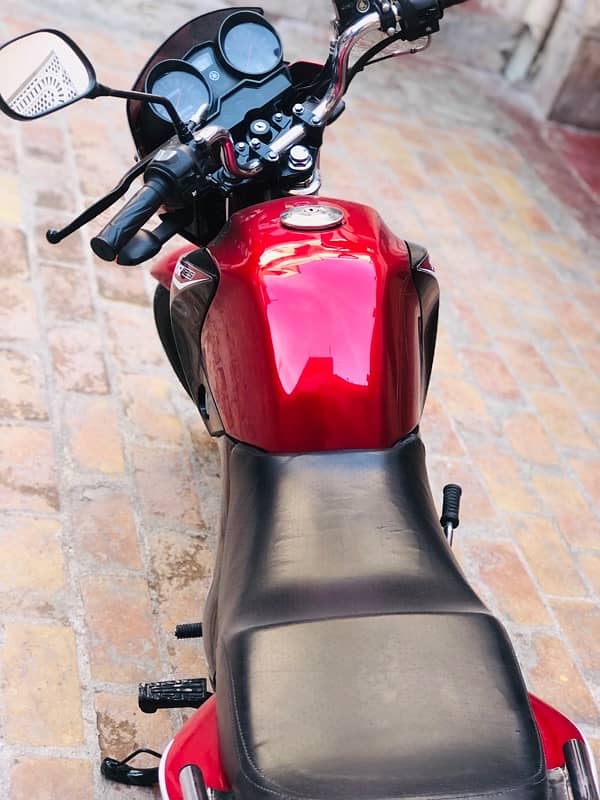 yamaha YBR 125 Red Beauty 8