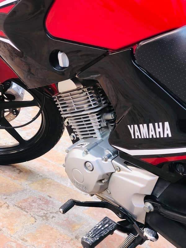 yamaha YBR 125 Red Beauty 12