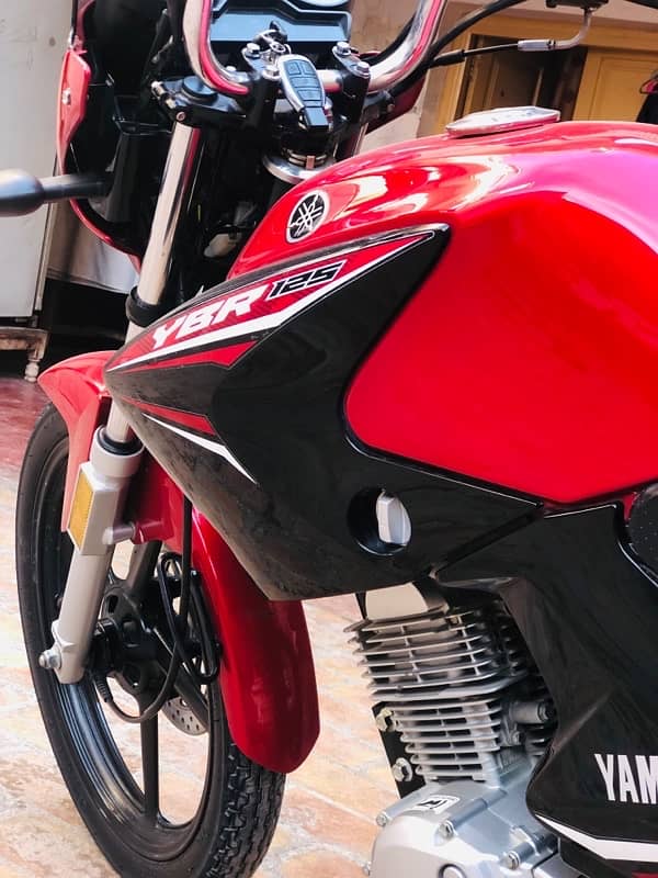 yamaha YBR 125 Red Beauty 18