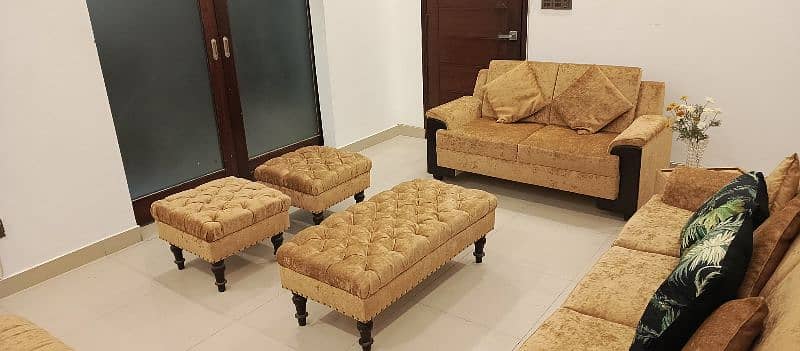 Drawing Room Sofa set with couches 2