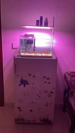 AQUARIUM + STAND