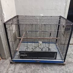 Parrots cage for sale