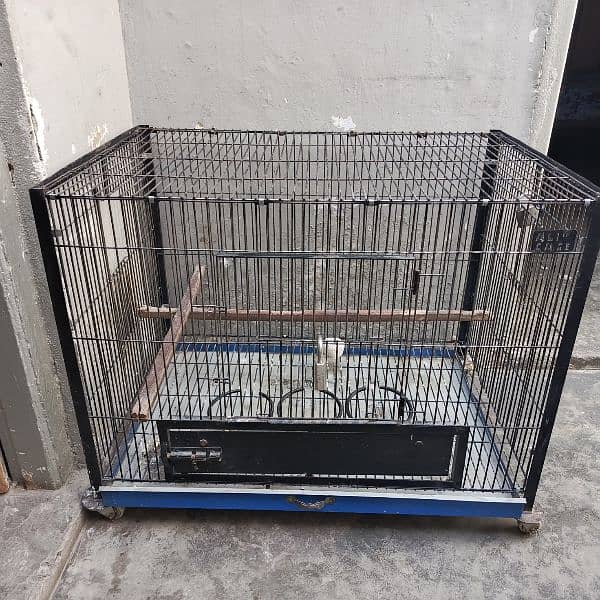 Parrots cage for sale 0