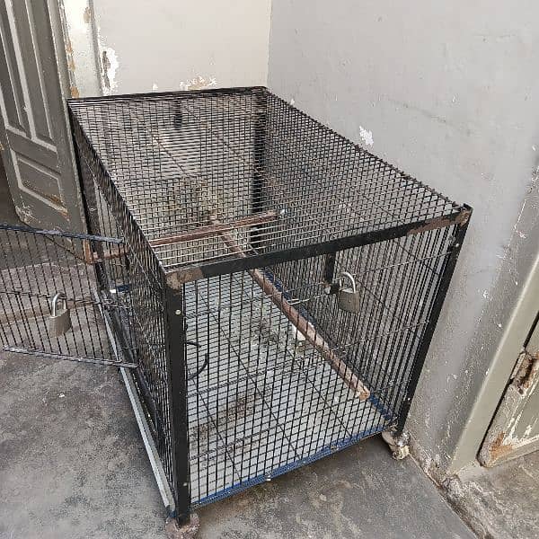 Parrots cage for sale 1