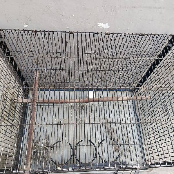 Parrots cage for sale 2