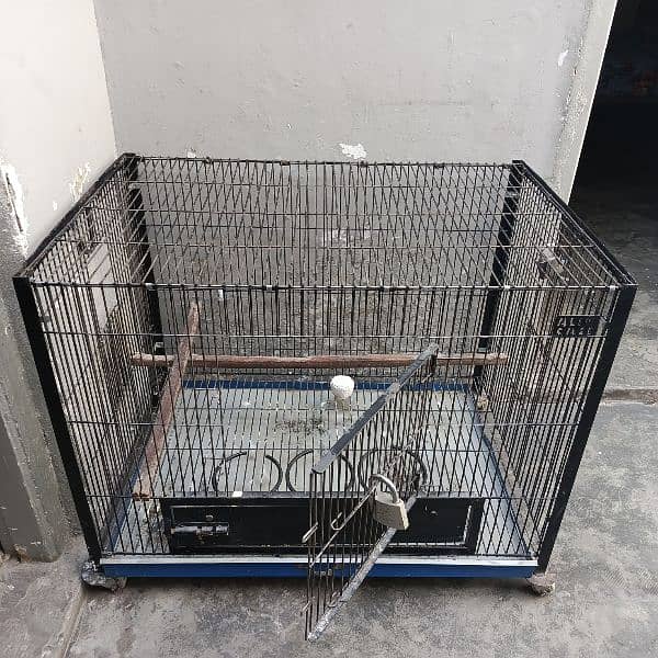 Parrots cage for sale 3