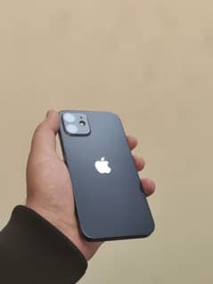 Iphone 12 Non PTA