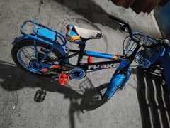 Bicycle for kids