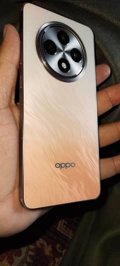 Oppo Reno 12F 5 G Full Box 23 day use G 10 by 10 03059393289