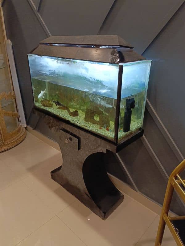 Fish Aquarium with all eccessories and 3 fish also 2