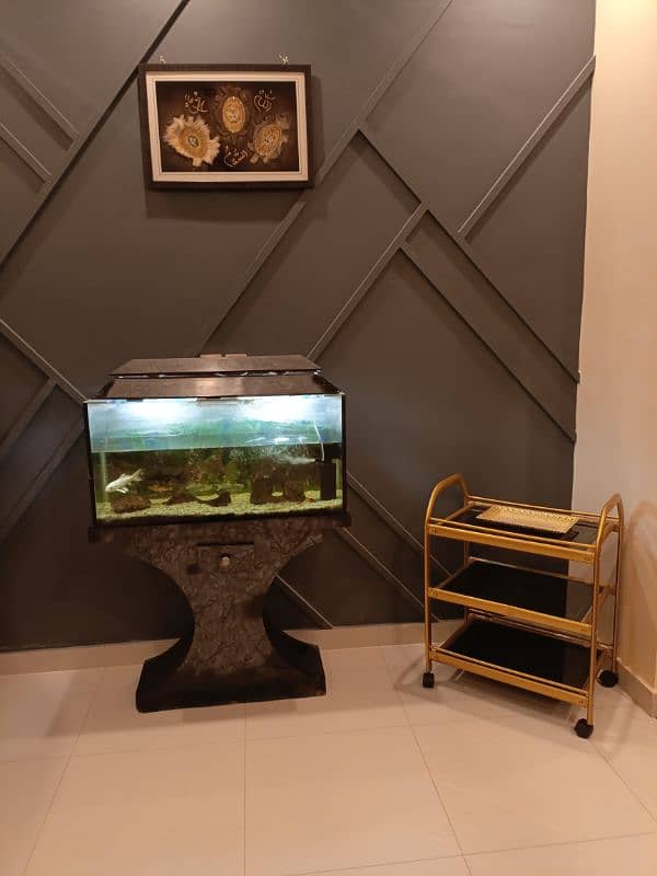 Fish Aquarium with all eccessories and 3 fish also 3