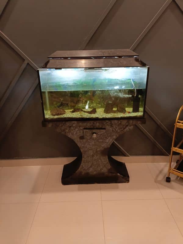 Fish Aquarium with all eccessories and 3 fish also 5