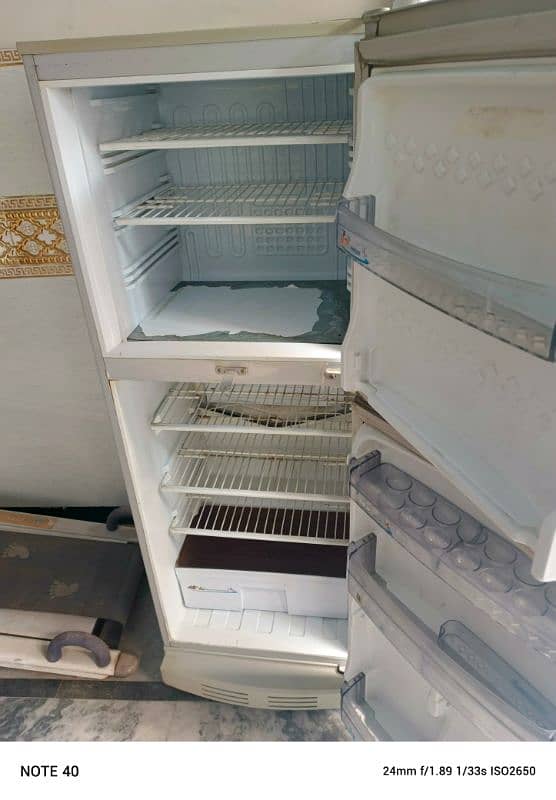 PEL FREEZER For sale 1