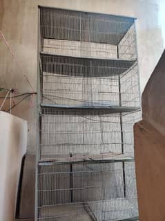 Bird Cage for Sale