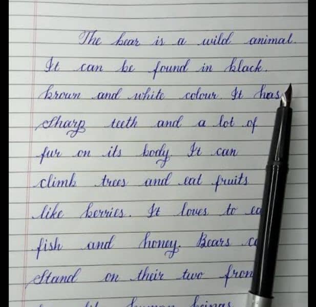 Handwritingassighment work 0