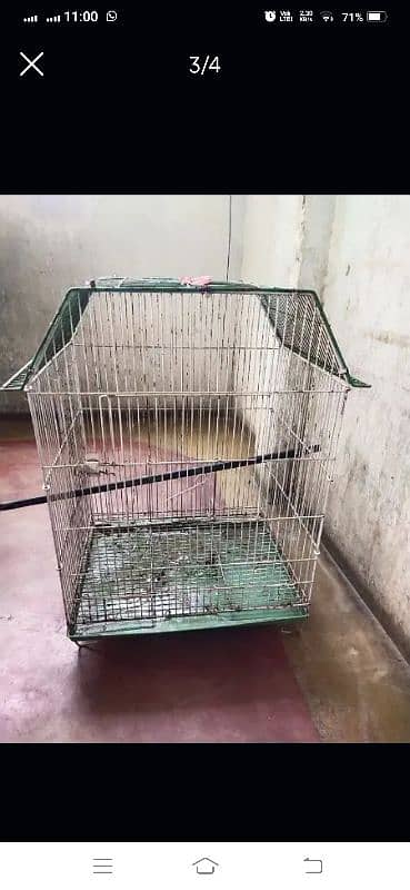 Parrot Cage For Sale in Good Condition 1