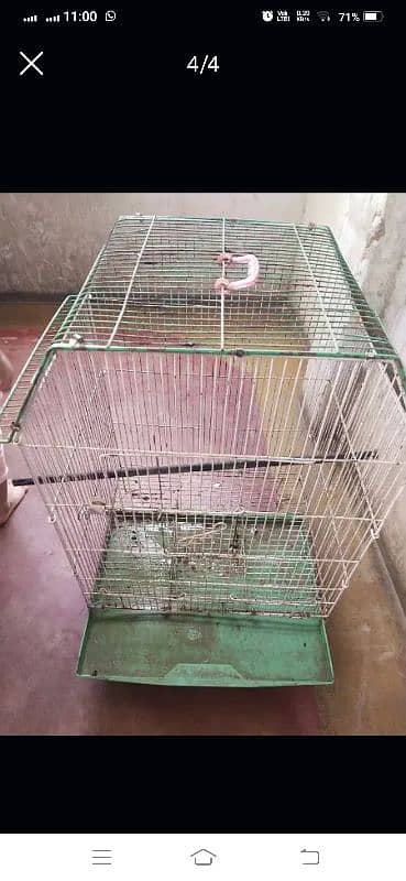 Parrot Cage For Sale in Good Condition 2