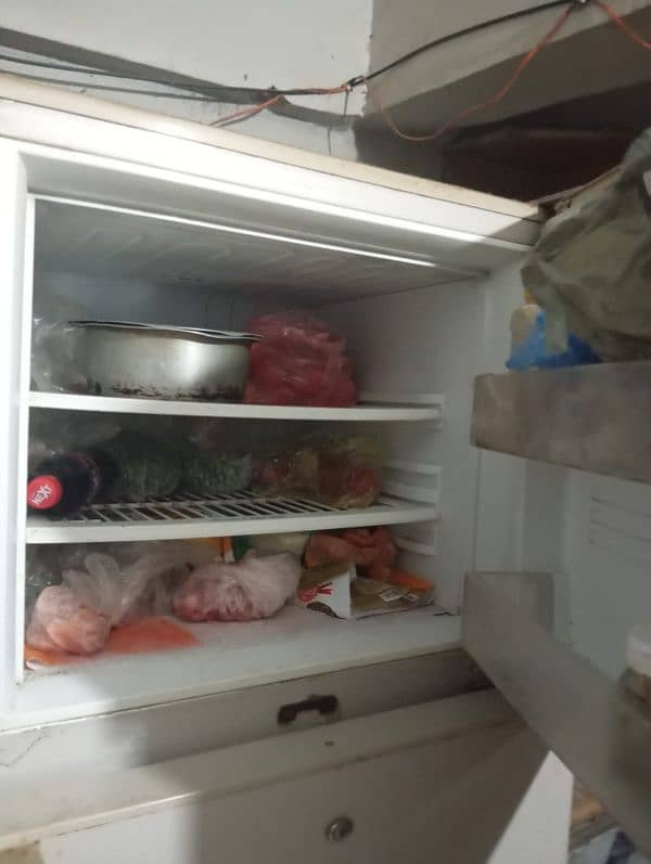 pel fridge 3