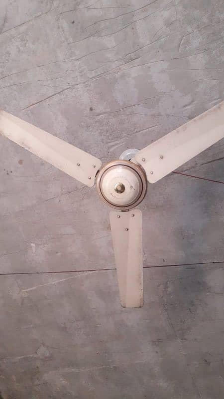 Royal ceiling fan 0