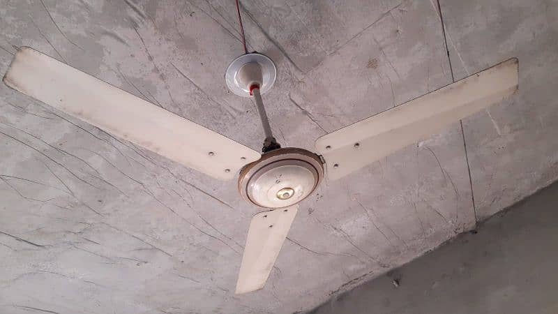 Royal ceiling fan 2