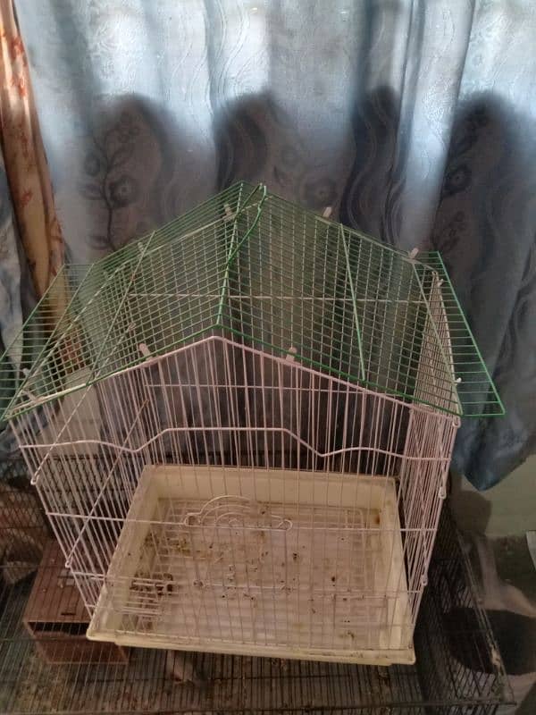 birds cages 4