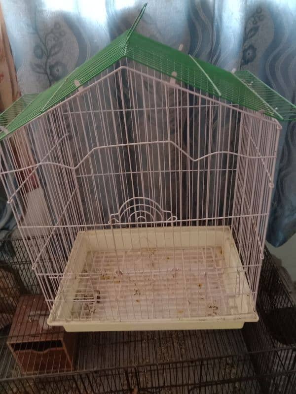 birds cages 6