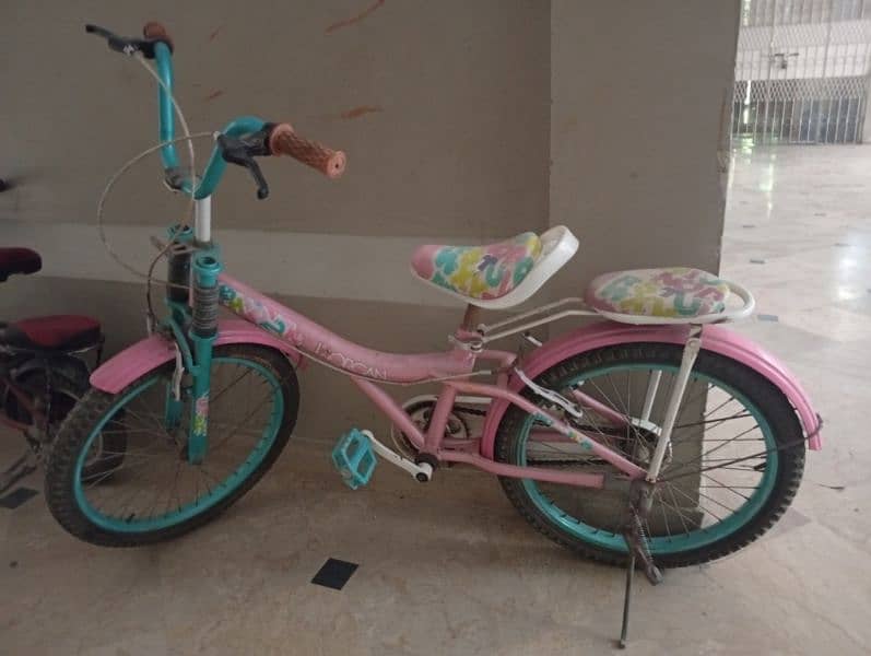 Kids Bicycle 1