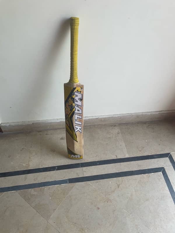 CRICKET BAT 1