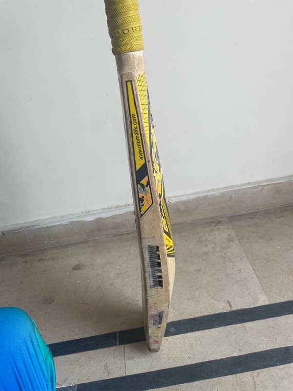 CRICKET BAT 4