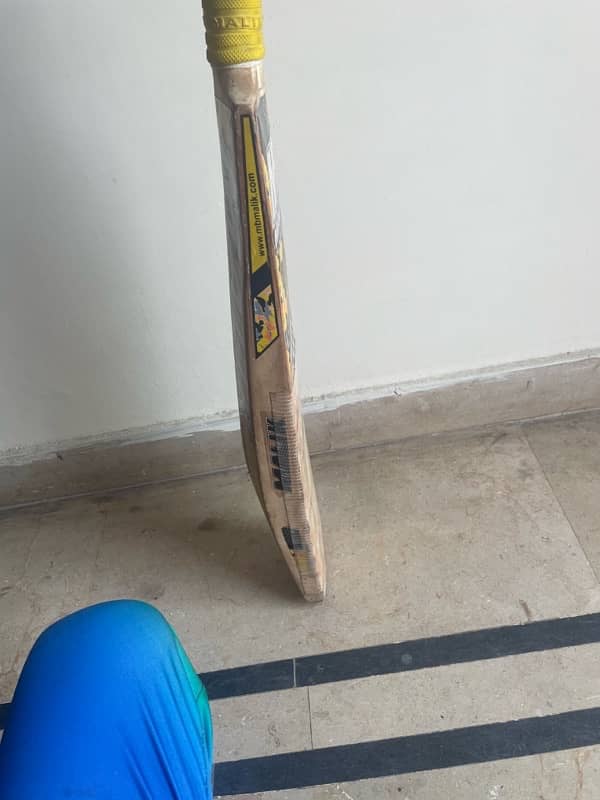 CRICKET BAT 5