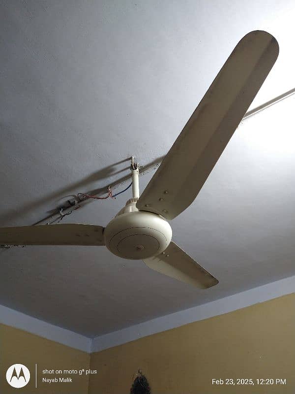 I am Selling Used 100% Cooper Ceiling Fan In Low Price 0