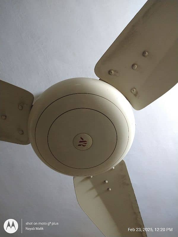 I am Selling Used 100% Cooper Ceiling Fan In Low Price 1