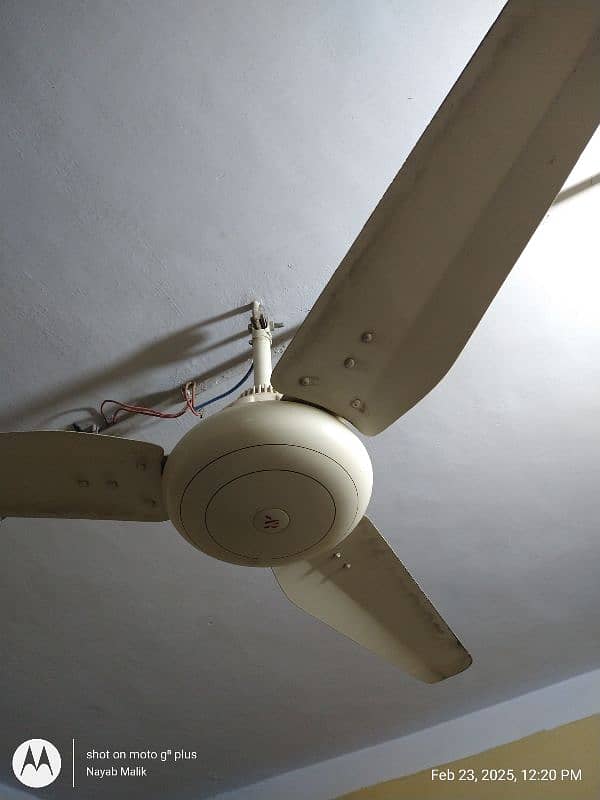 I am Selling Used 100% Cooper Ceiling Fan In Low Price 3