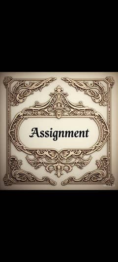 Assignment writer