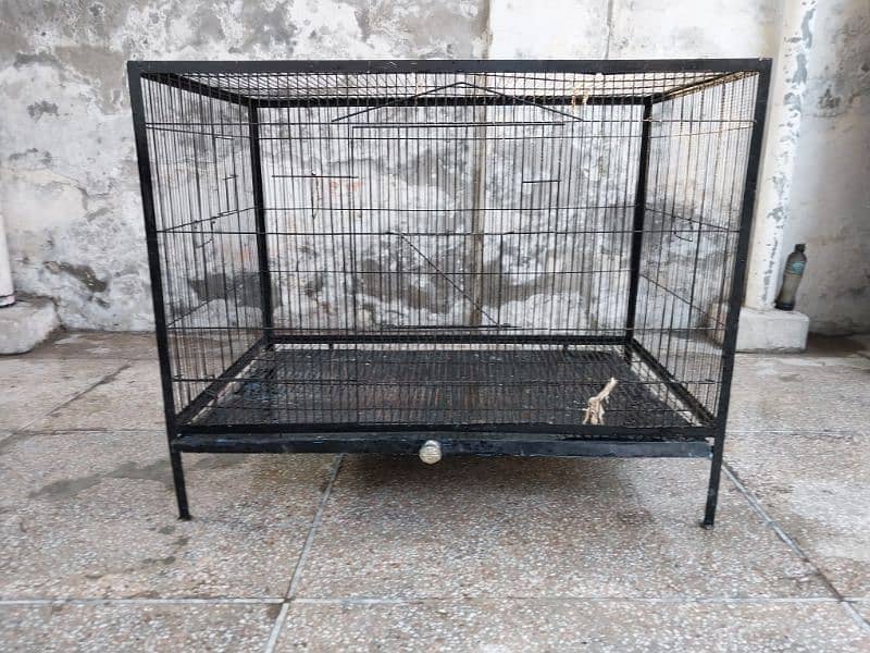 Big Size Hen Cage 3