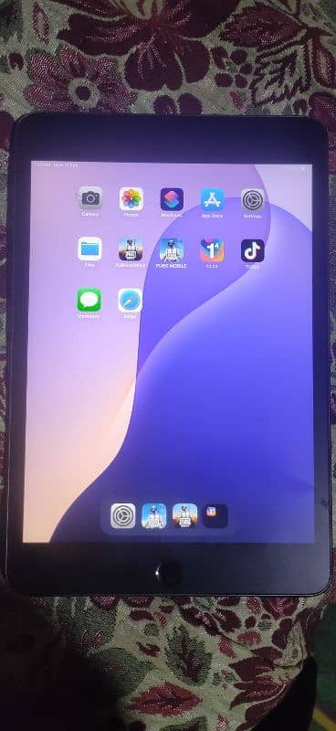 ipad mini 5 sim supported 2