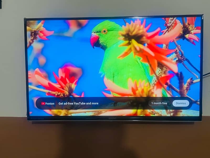 orient android led tv black hd 32” inches 5