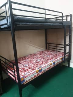 bunk bed